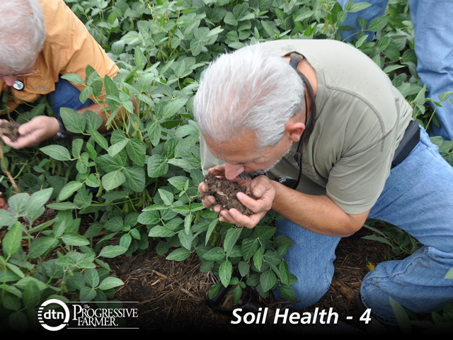 Take a sniff of your soil. A healthy soil should have a rich, earthy fragrance. (DTN photo by Chris Clayton)